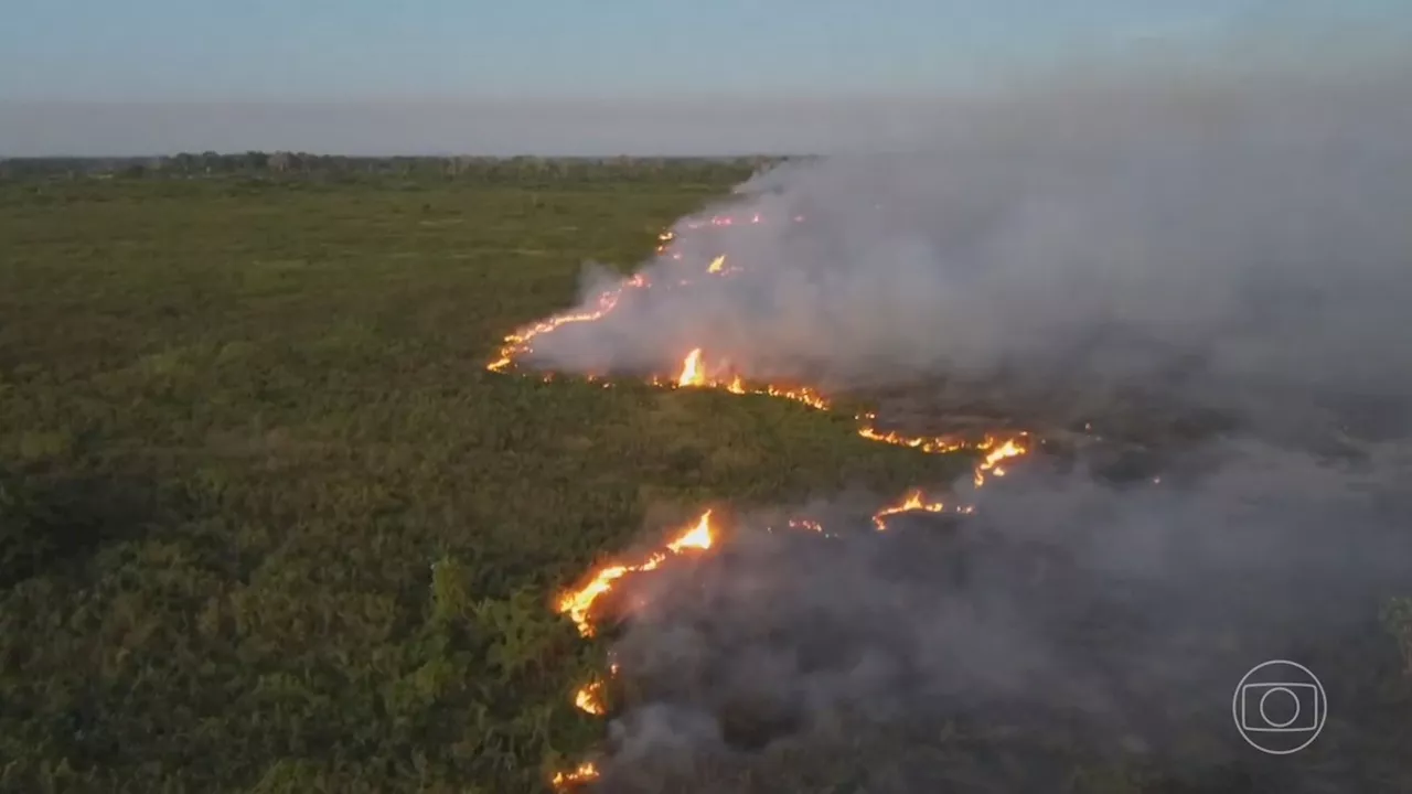 Mato Grosso do Sul decreta situação de emergência por causa dos incêndios no Pantanal