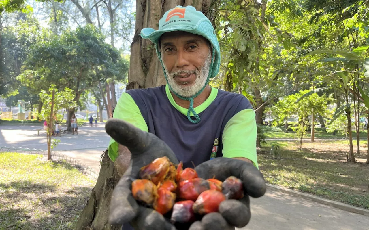 Campo de São Bento possui museu vivo que conta a história do país através das plantas