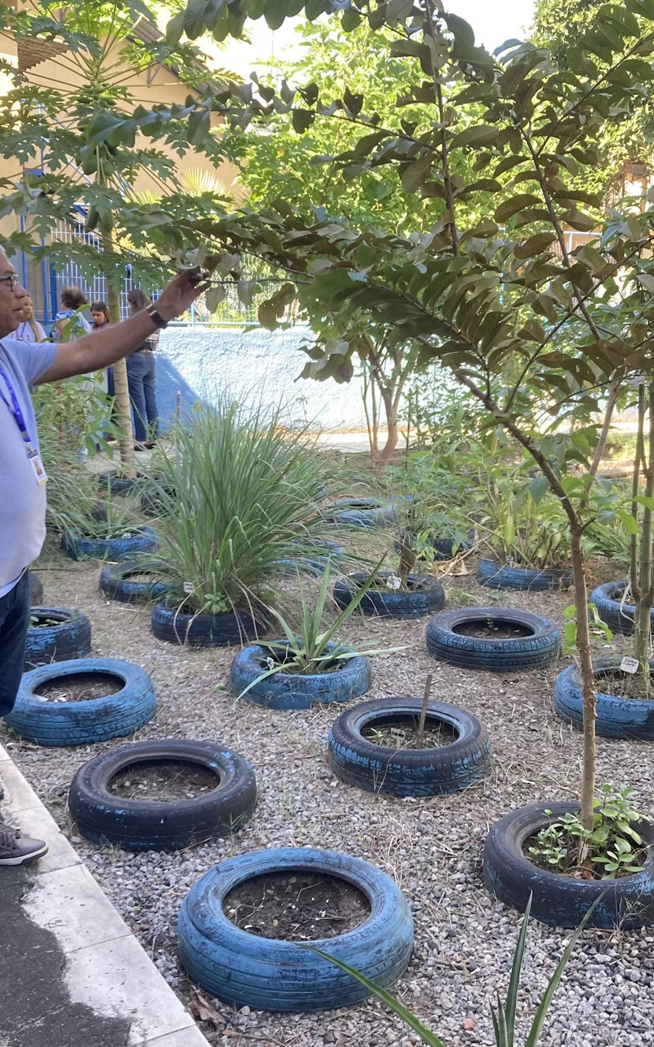 Meio Ambiente de Mesquita promove novas atividades de conscientização ambiental