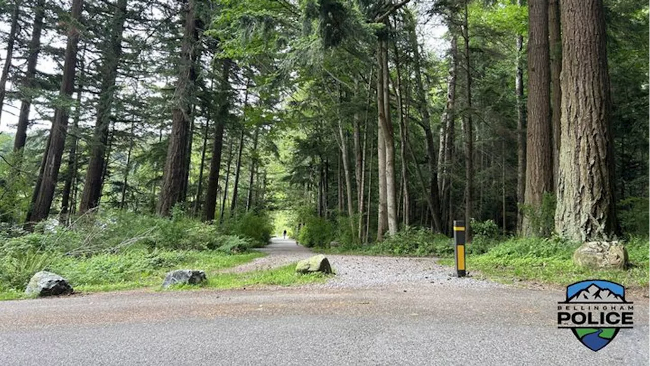 Police investigate unprovoked attack on jogger at Lake Padden Park