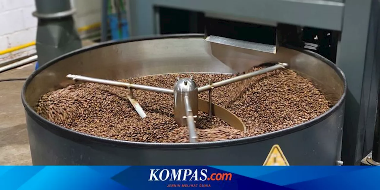 Mengintip Dapur Produksi Kopi Tuku, Roasting Kopi dan Memasak Gula Aren