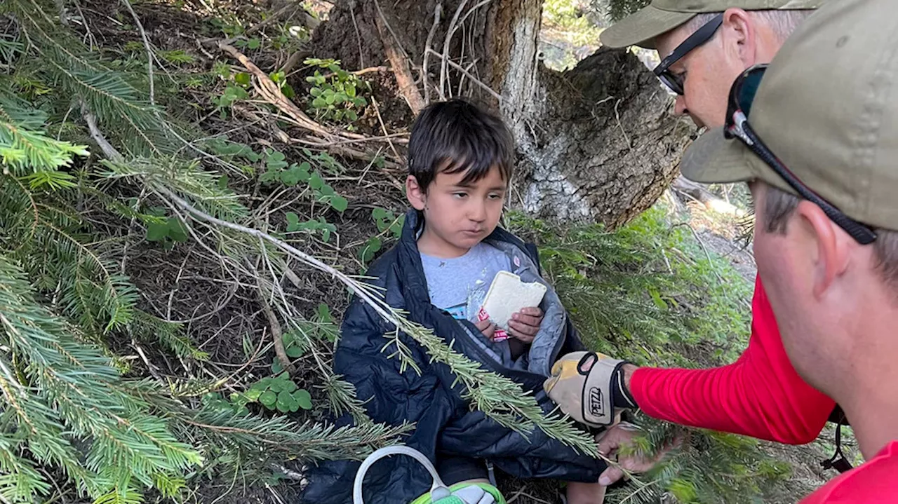 4-year-old boy rescued after being stranded in woods for 22 hours