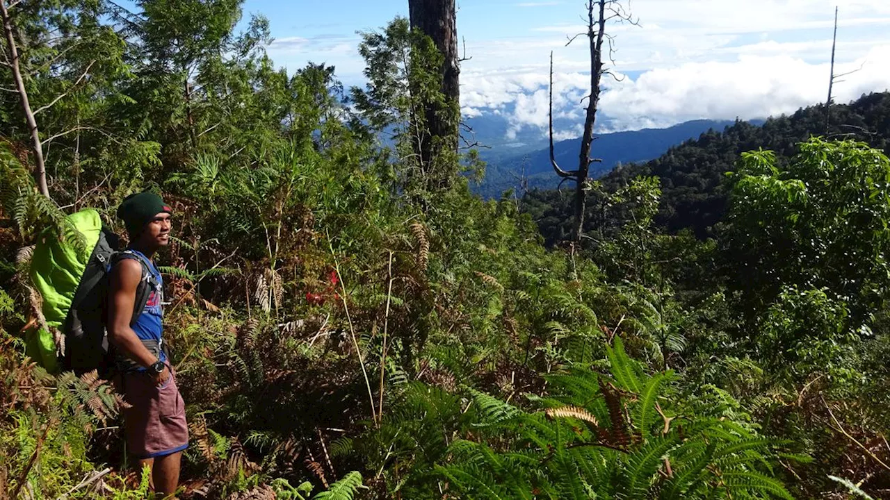 6 Fakta Menarik Gunung Batusibela, Bagian Cagar Alam Gunung Sibela di Maluku