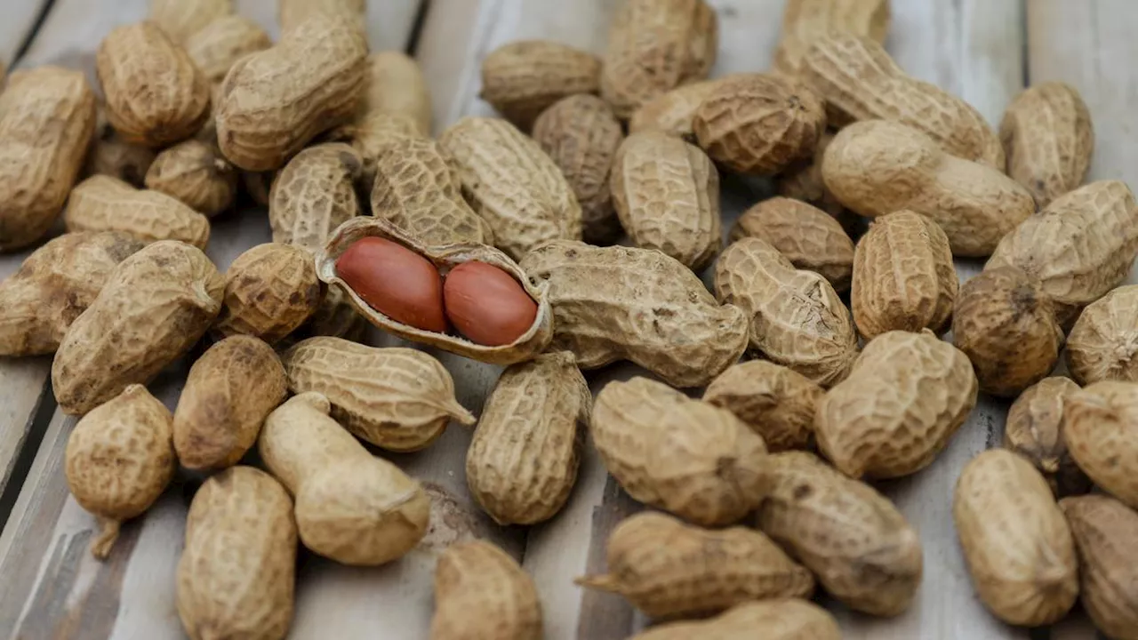 Studi Ini Ungkap Pemberian Produk Kacang pada Anak Kecil Kurangi Risiko Alergi