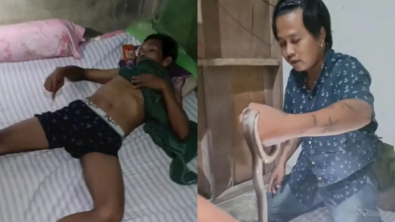 Viral Ular Kobra Masuk ke Celana Dalam Pria Sedang Tidur, Evakuasi Dramatis