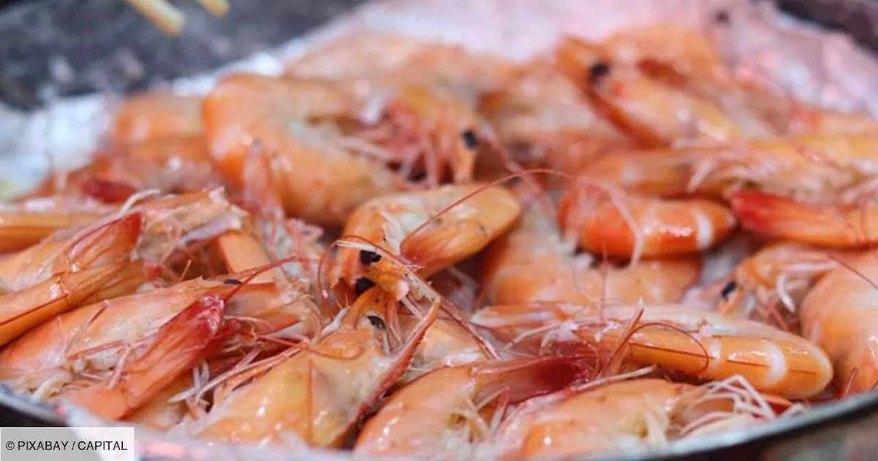 Aldi : des crevettes rappelées en raison de la présence d'une bactérie «mangeuse de chair»