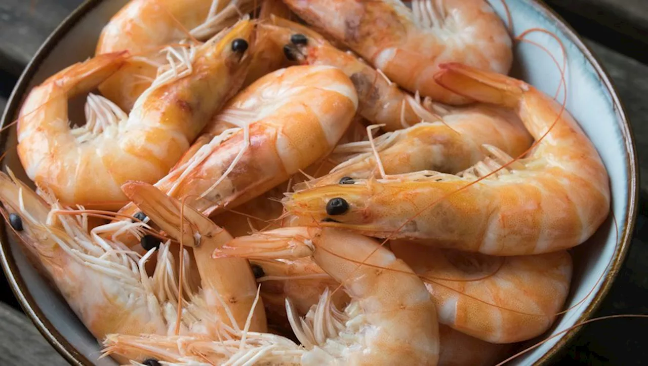 Rappel produit : attention à ces crevettes surgelées contaminées par une bactérie mangeuse de chair vendues ch