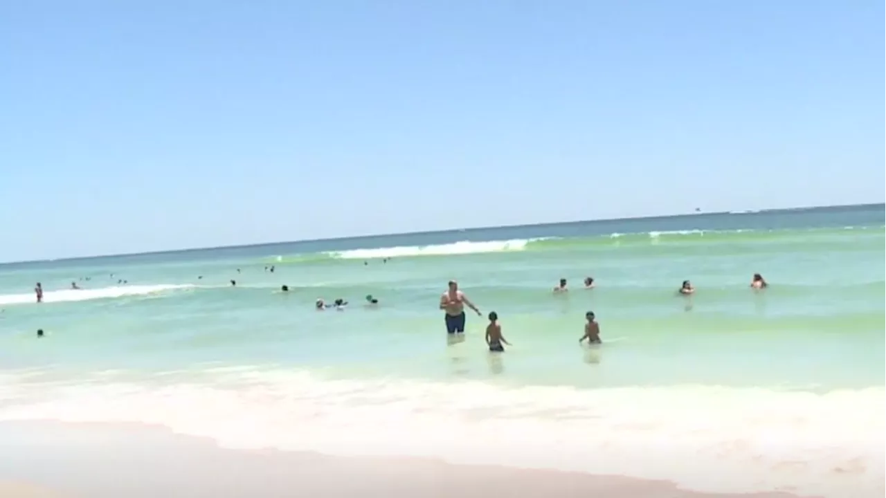 Six drowning deaths in Florida remind us all to check flags before entering the water