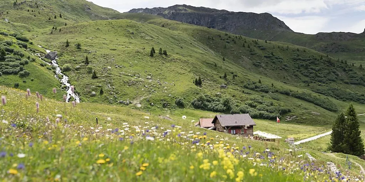 Das Wichtigste zur Biodiversitätsinitiative in Kürze