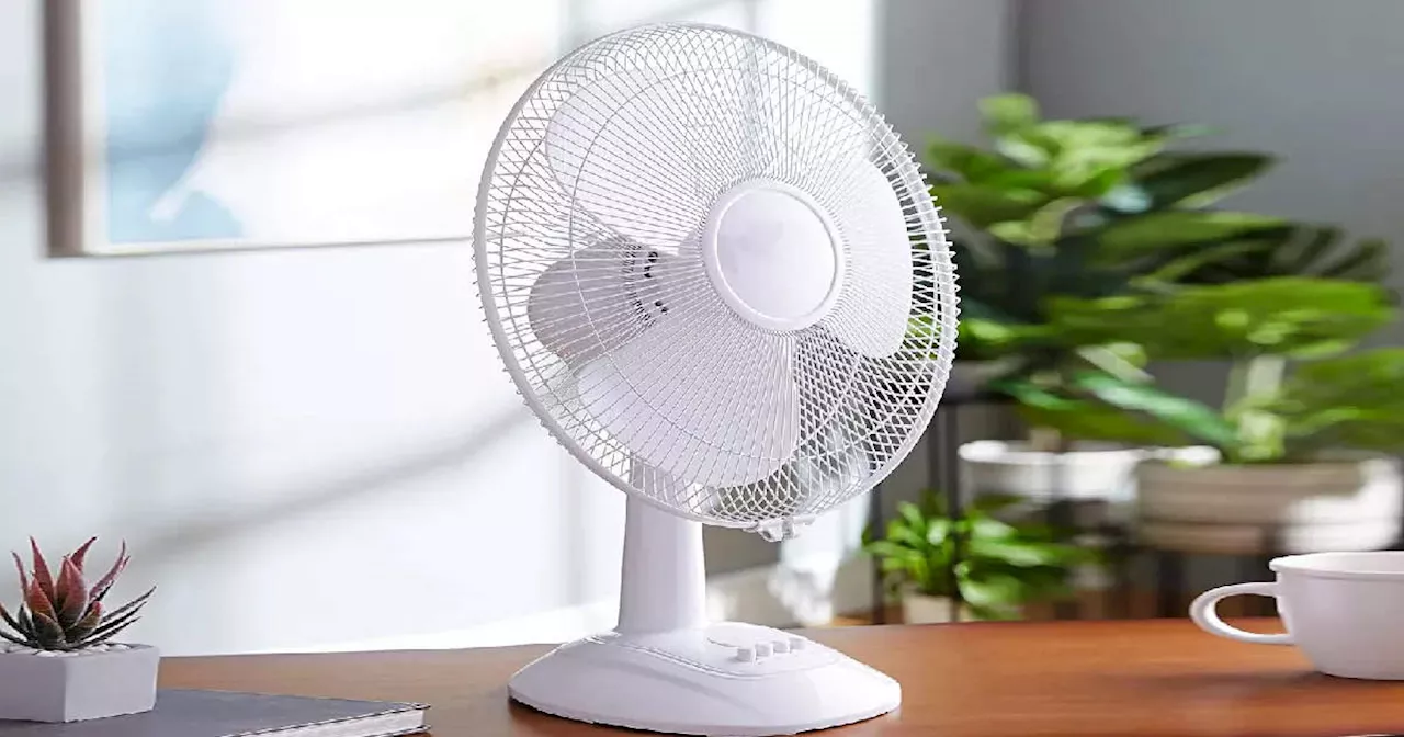 लू का थपेड़ा नहीं बल्कि मनमोहक हवा का झोंका देंगे ये Table Fan, हैवी डिस्काउंट देख आपका भी मन जाएगा झूम