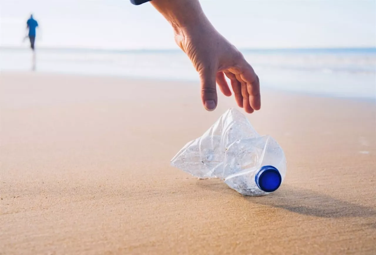 'A deep sense of purpose': Conservation NPO Litterboom merge mental health with coastal clean-ups