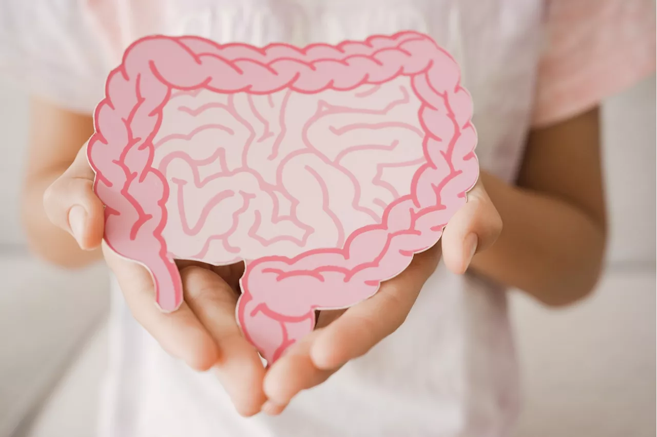 Research shows gut bacteria's role in mental resilience and reduced anxiety