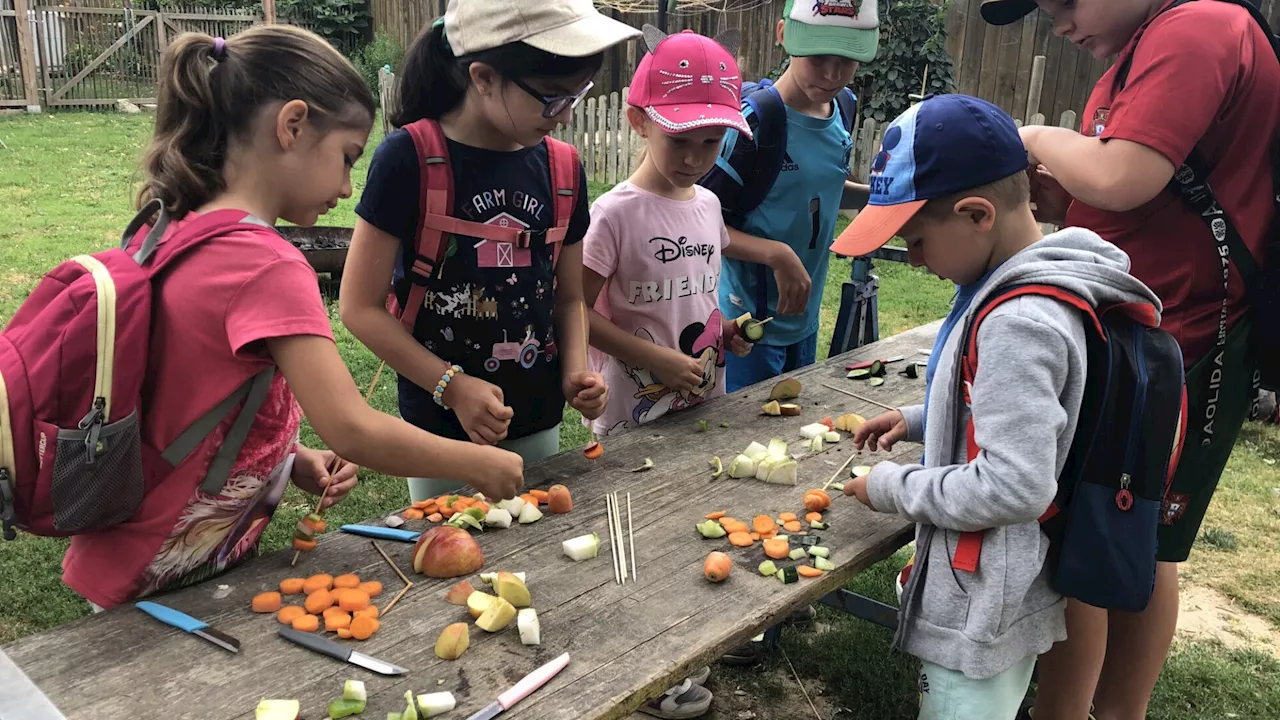 Abwechslungsreiches Ferienprogramm in Großweikersdorf