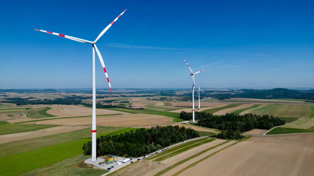 Beschluss: Flächen für Windkraft-Ausbau im Hochleithenwald gesichert