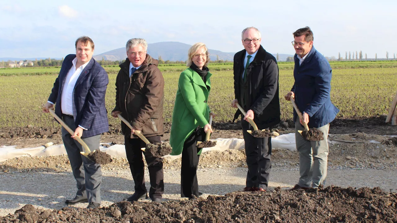 Polit-Streit wegen Windparkprojekt in Engelhartstetten geht weiter