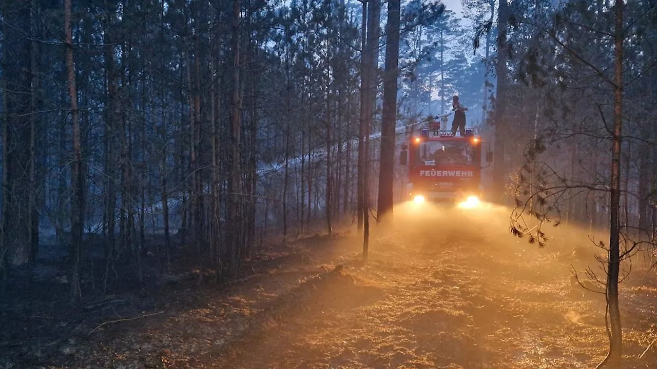 Berlin & Brandenburg: Experte: Brandenburg bisher glimpflich durch Waldbrandsaison