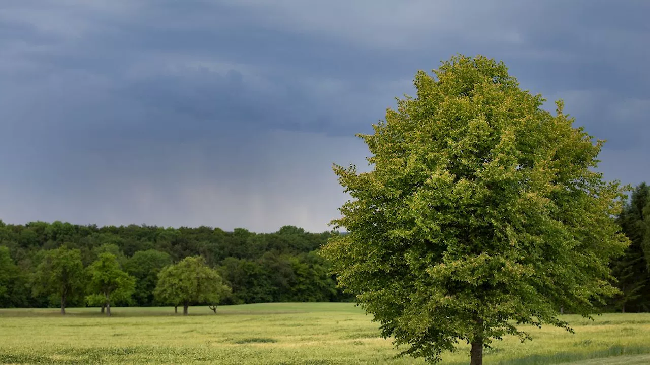 Wetterwechsel am Monatsende: Hoch 'Bie' bringt bis zu 33 Grad