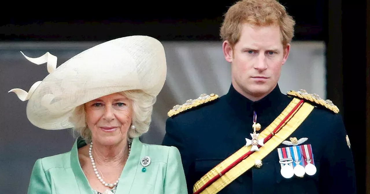 Heartbroken Prince Harry accused Camilla of 'taking King Charles away' from him