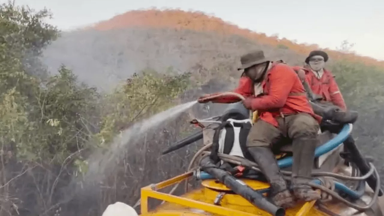 Brigadista relata drama para apagar incêndios no Pantanal: 'Tem que combater'