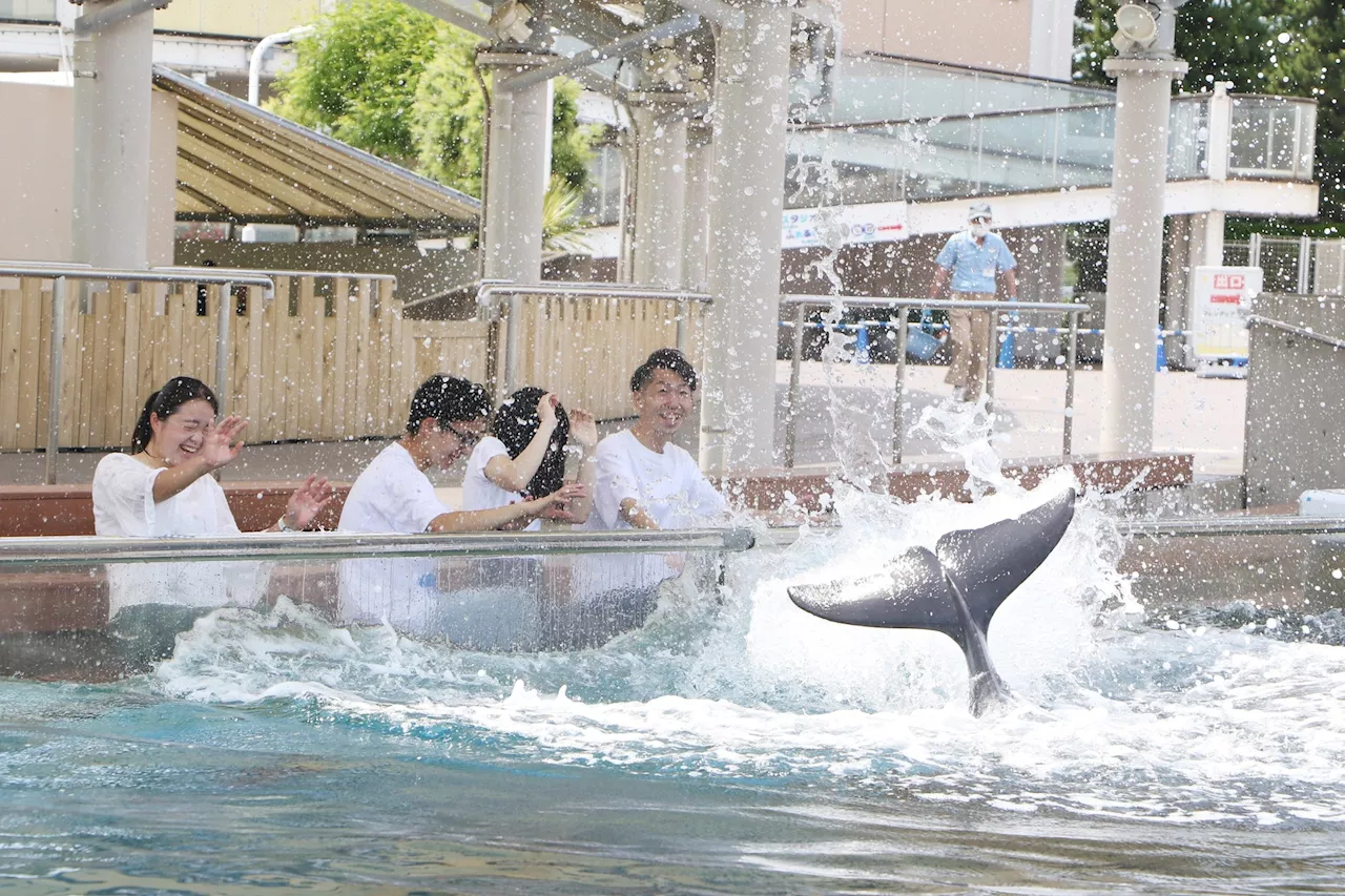 【横浜・八景島シーパラダイス】生きものが躍動する新たなLIVE 空間！ Animal Life Live！誕生 【２０２４年７月１０日（水）～】