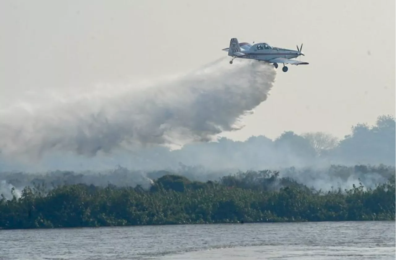 Incêndios no Pantanal: Mato Grosso do Sul decreta situação de emergência