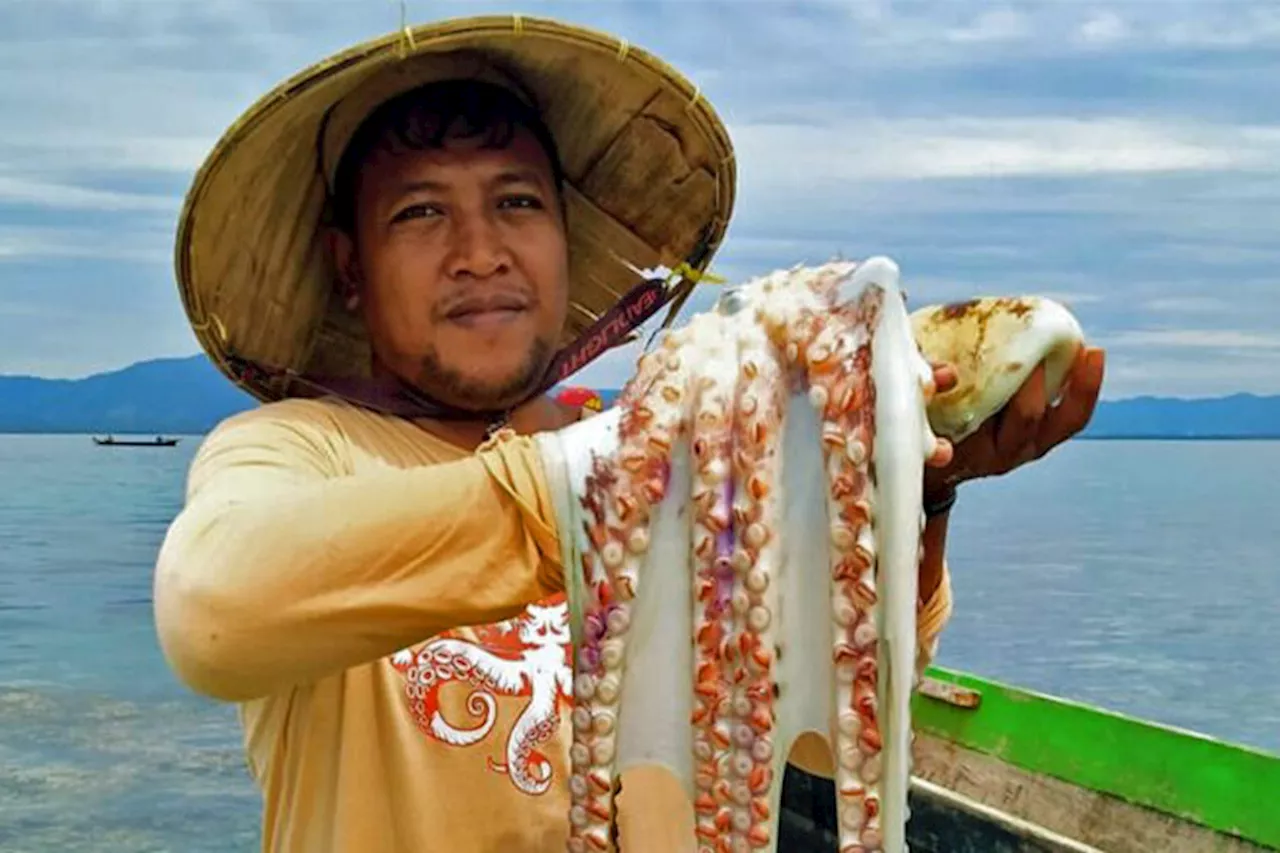 Indonesia’s Avatar sea nomads enact Indigenous rules to protect octopus