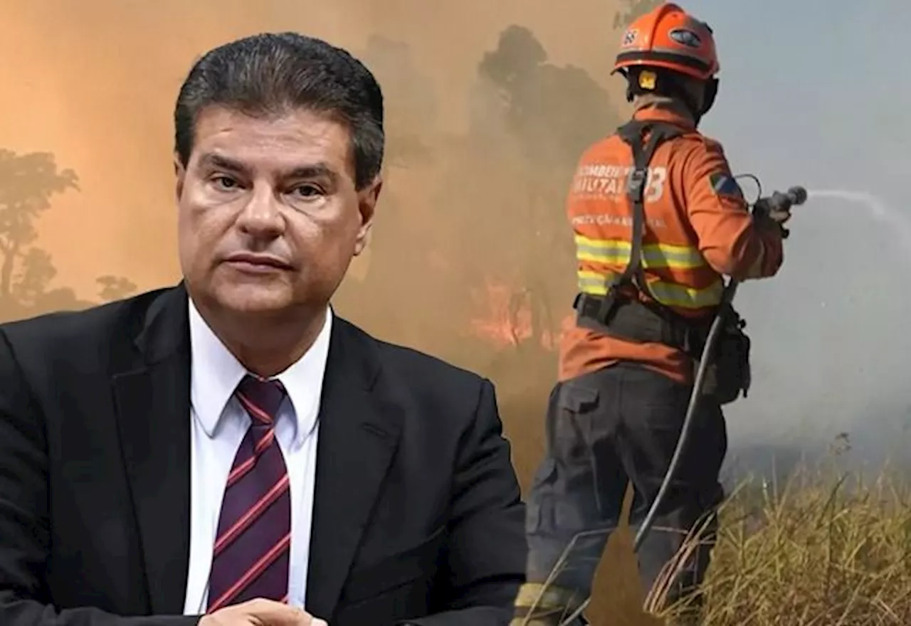 Senador do MS cobra rapidez contra incêndios no Pantanal: