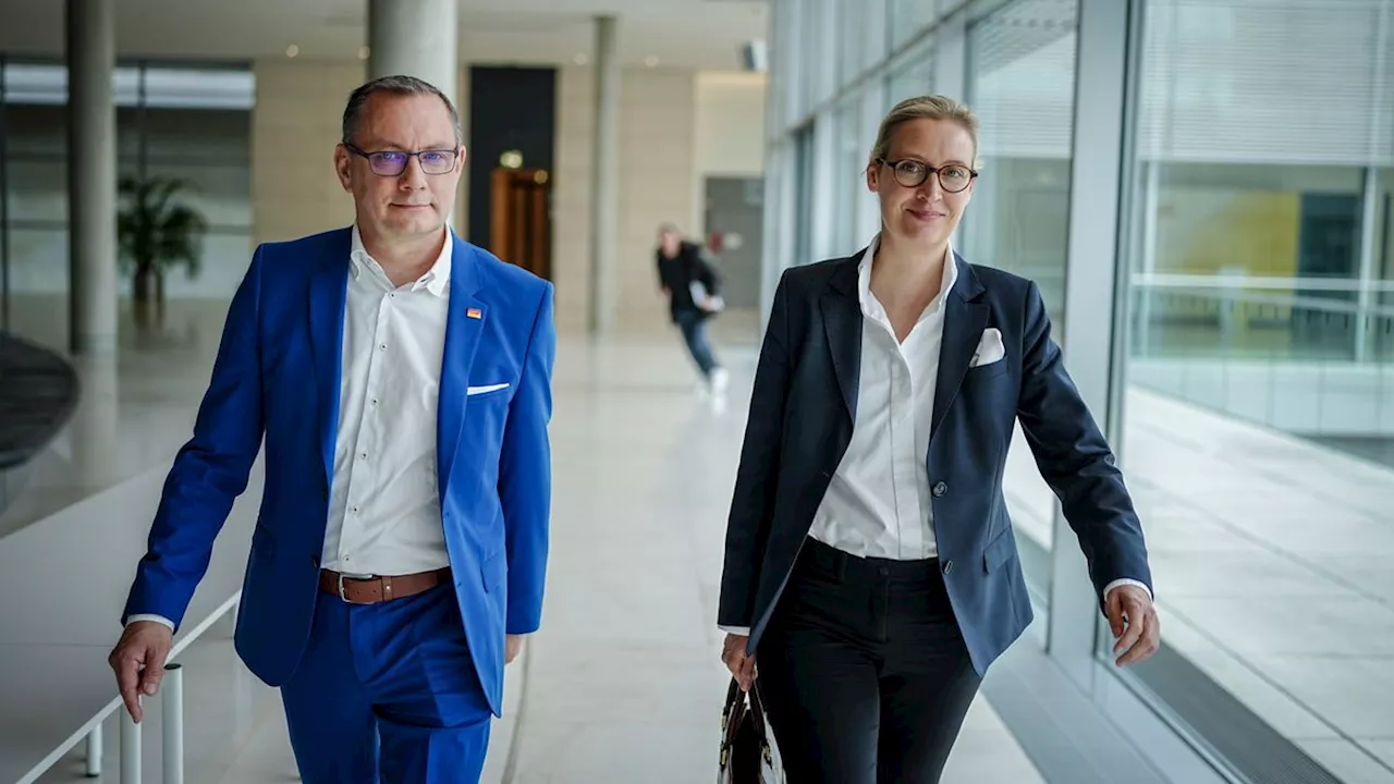 AfD-Chefduo: Chrupalla und Weidel wollen »gemeinsam weitermachen«