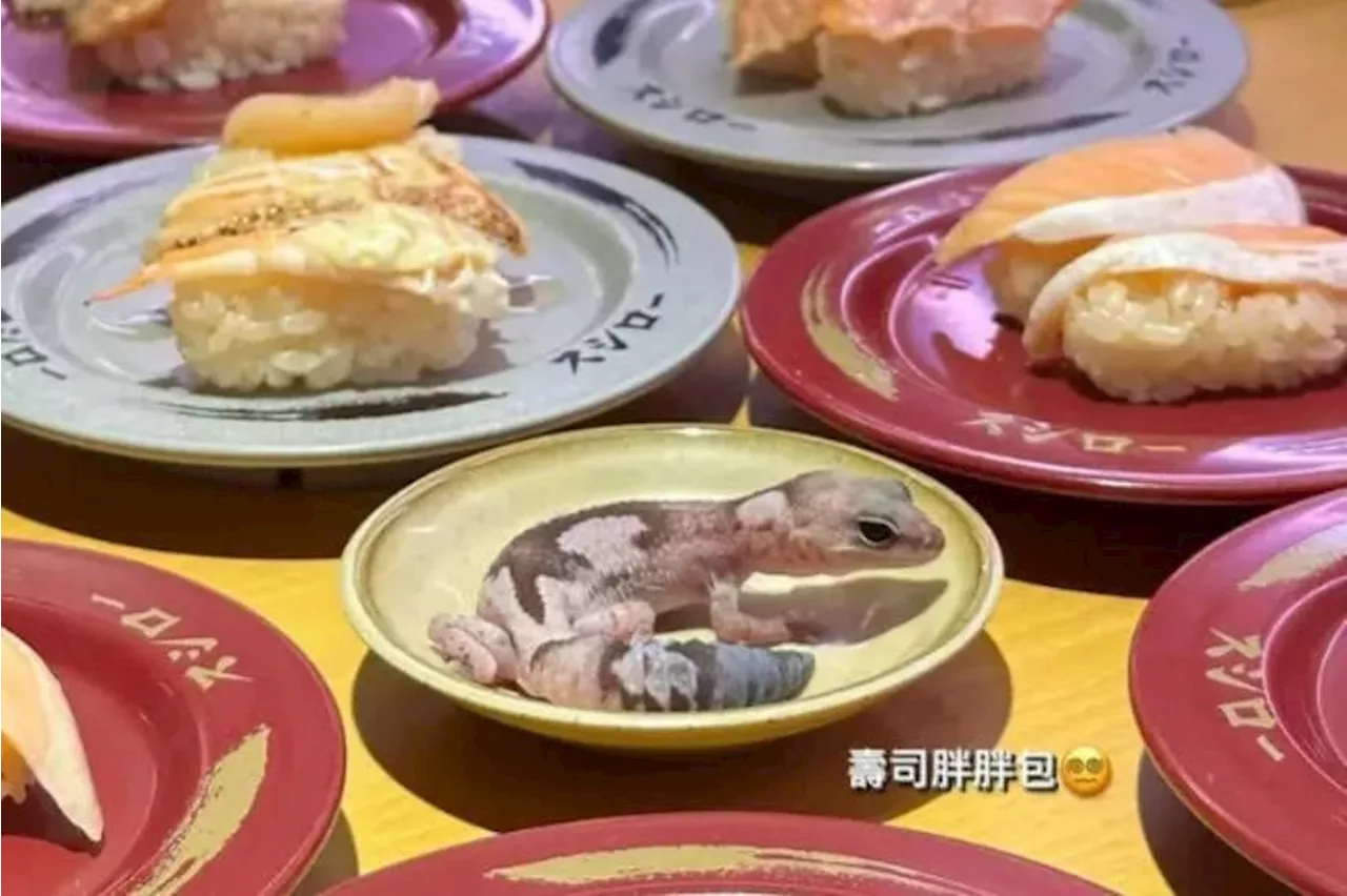 Backlash after student in Taiwan snaps pet gecko on sushi restaurant plate