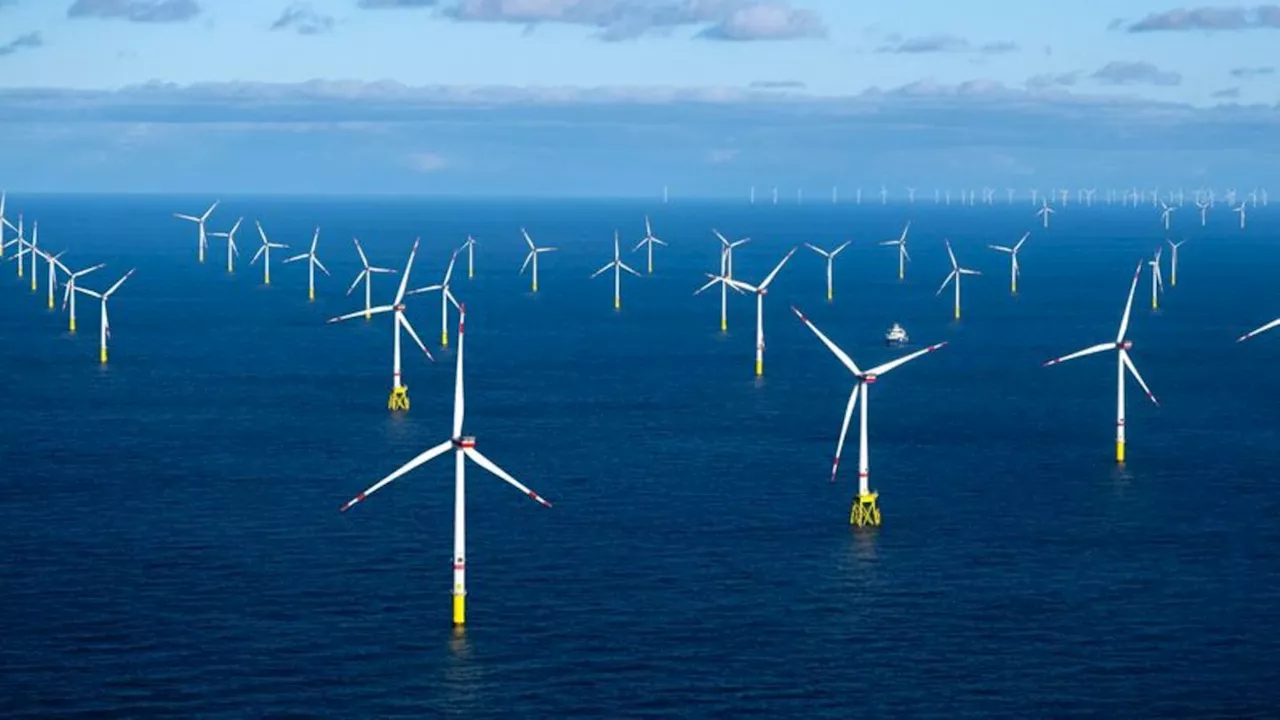 Energiewende: RWE erhält Genehmigung für weitere Windparks in der Nordsee