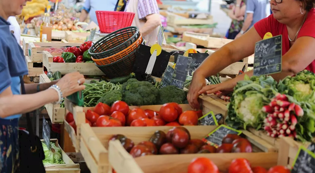 Charente-Maritime : des marchés et repas fermiers organisés tout l’été