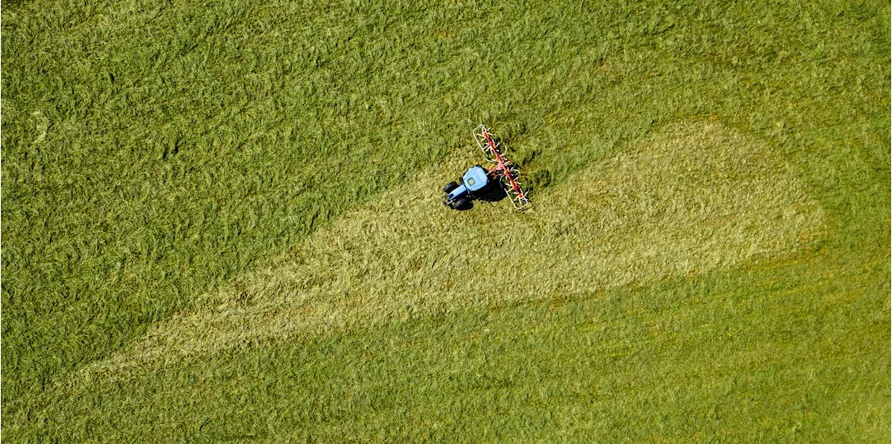 Kinderleiche in Niedersachsen gefunden – wahrscheinlich von vermisstem Arian