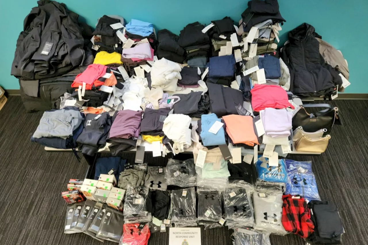 Police bust Lower Mainland woman for reselling stolen goods