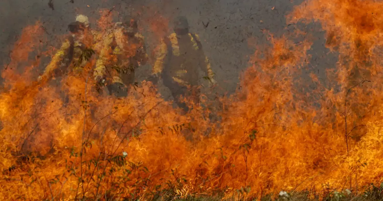 Incêndios no Pantanal e Cerrado quebram recorde histórico de quase 40 anos