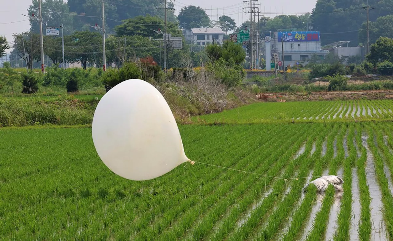 South Korea Warns of Parasites as North Sends More Trash- and Poop-Filled Balloons