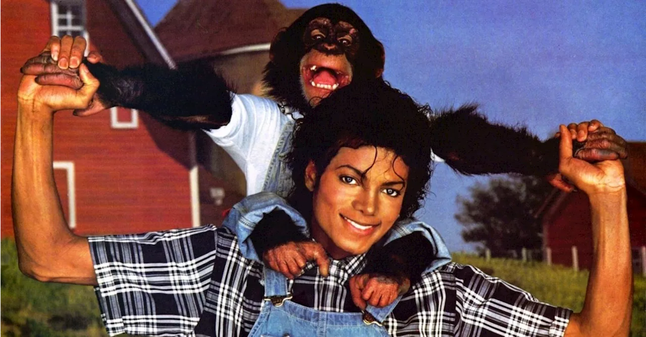 O valor exorbitante que o macaco de Michael Jackson ganha de herança