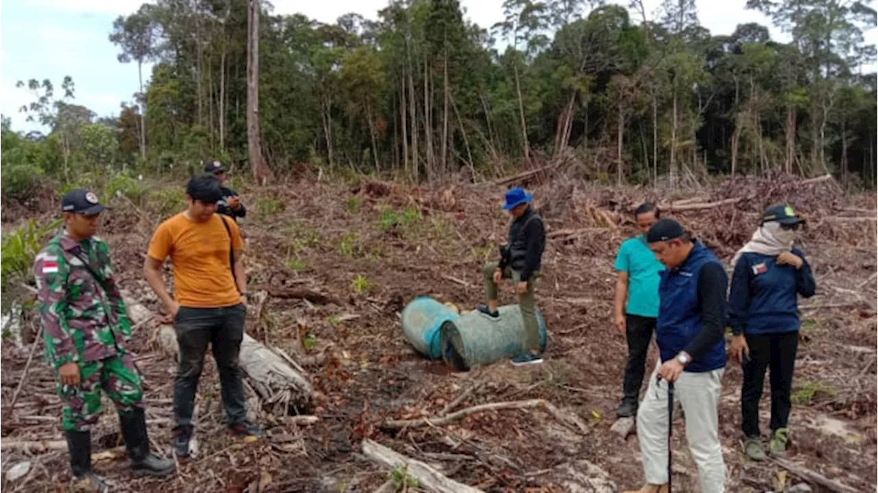 BKSDA Sebut Aktivitas Perambahan Hutan di Kalbar Diduga Dimodali Pihak Asing