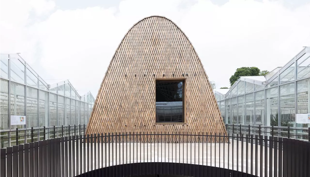 Green Ark, a new garden pavilion from modified softwood, is conceived for plant conservation