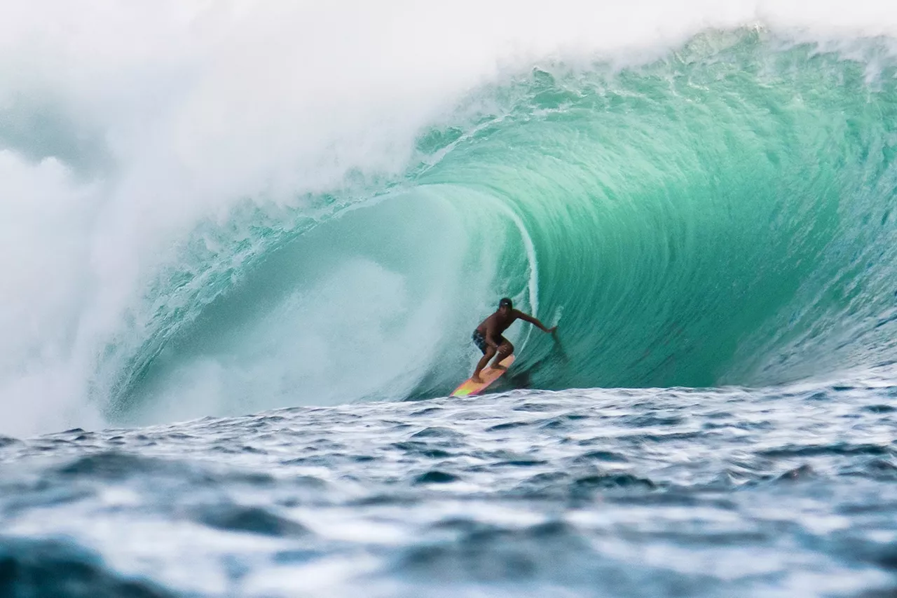 Legendary surfer, ‘Pirates of the Caribbean’ actor, killed in shark attack