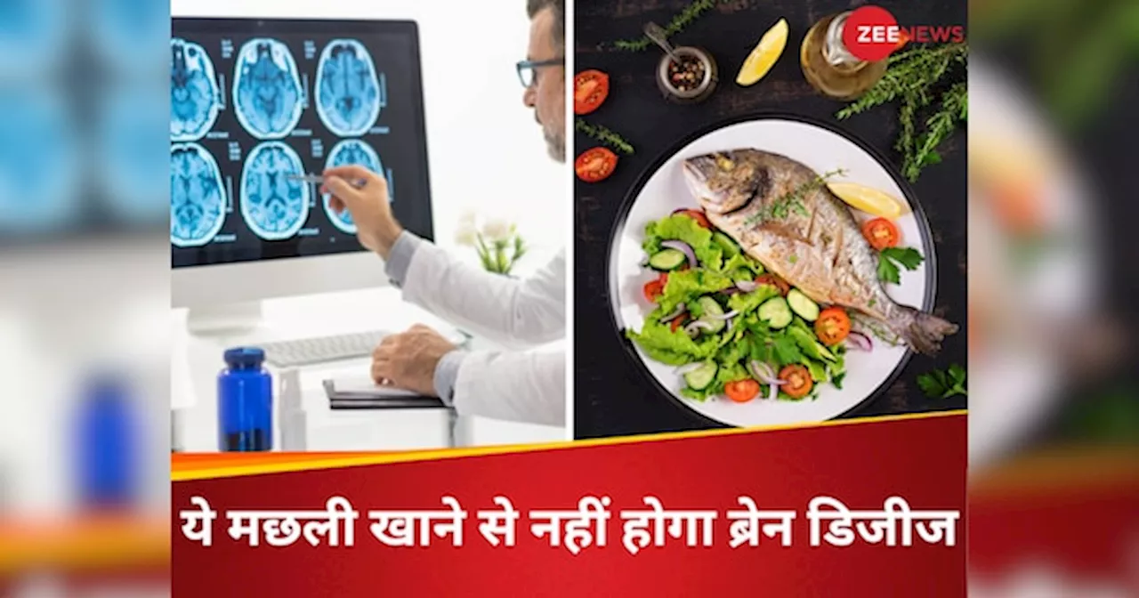 ये 5 मछलियां ब्रेन हेल्थ के लिए मानी जाती है सेहतमंद, न्यूरोसाइंटिस्ट ने बताया खाने से नहीं होते गंभीर रोग