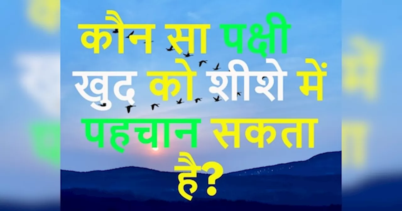 GK Quiz: कौन सा पक्षी खुद को शीशे में पहचान सकता है?