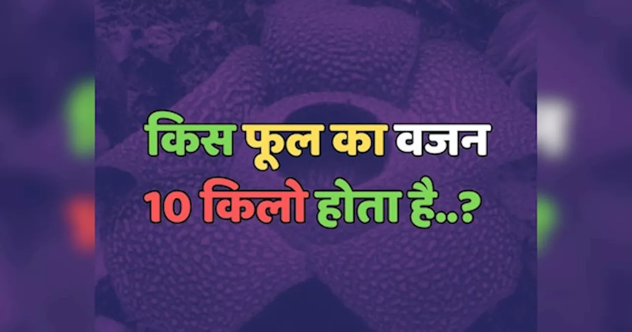 Trending Quiz : किस फूल का वजन 10 किलो होता है?