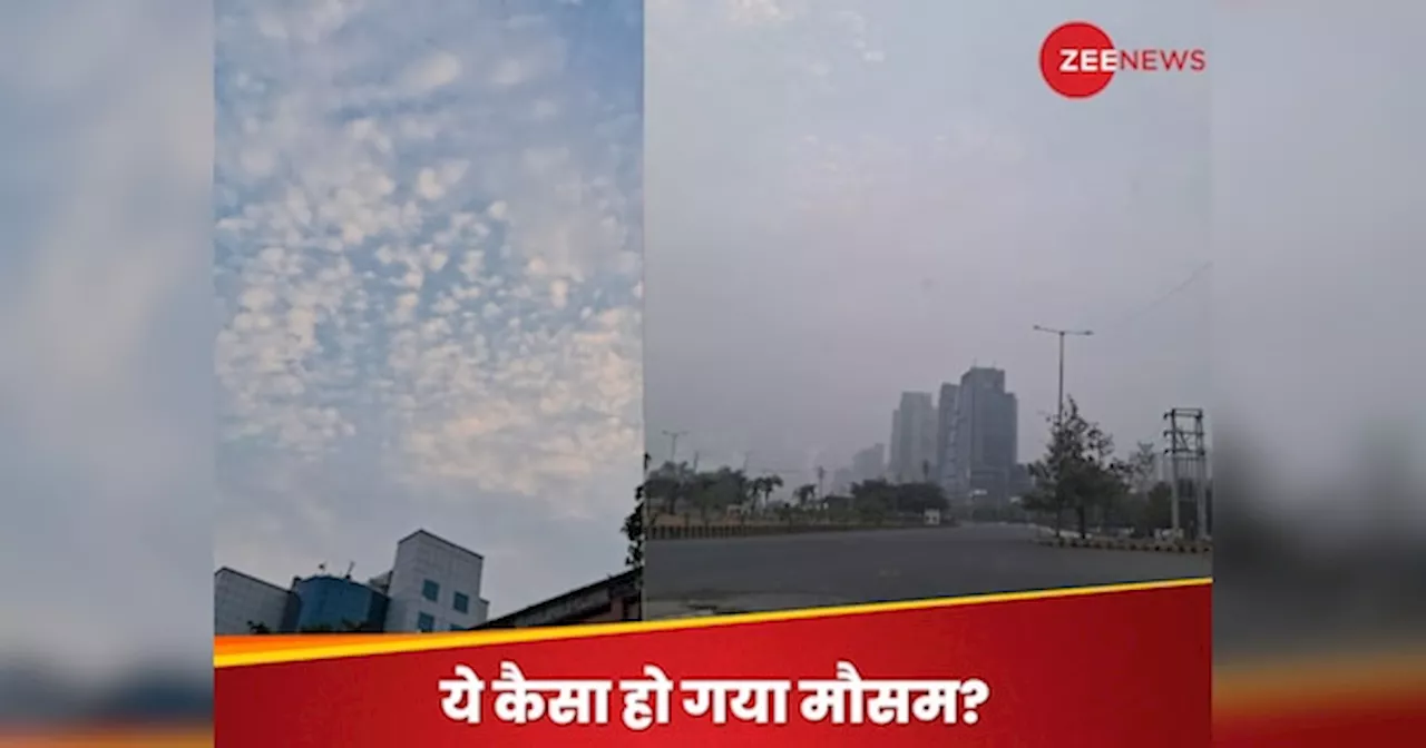 Weather: बादल या धुंध? बारिश के बाद गर्मी से राहत, लेकिन उमस अब भी; IMD ने बताया 24 घंटे कैसा रहेगा मौसम