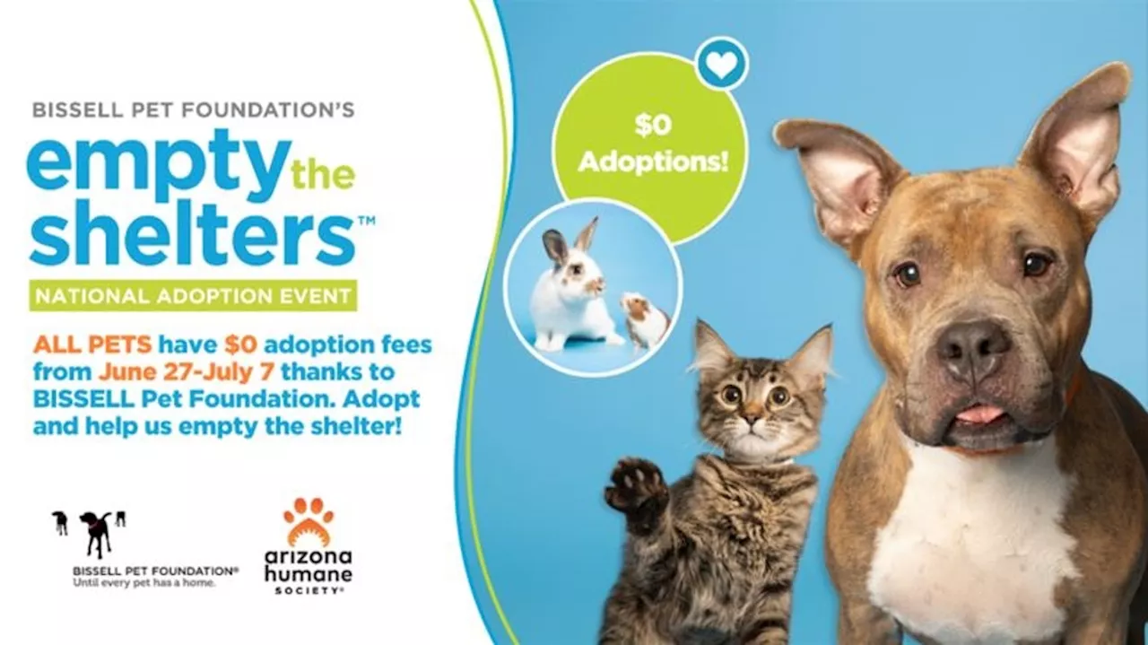 Arizona Humane Society waives adoption fees due to overcrowding