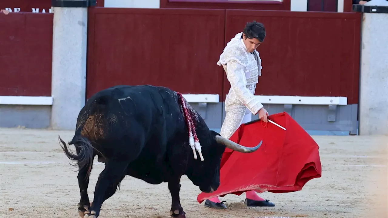 El PSOE vota por primera vez en contra de restaurar el Premio Nacional de Tauromaquia