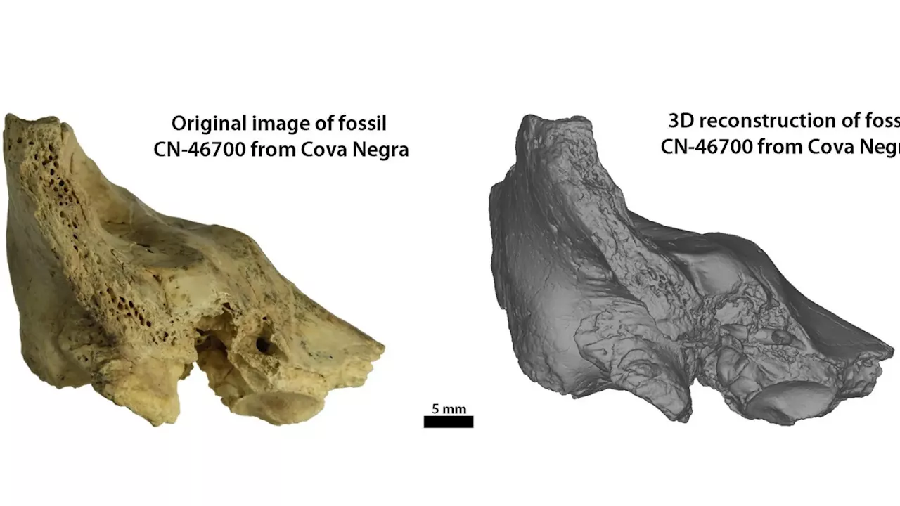 Tina, la niña neandertal con síndrome de Down que vivió gracias al amor de su grupo