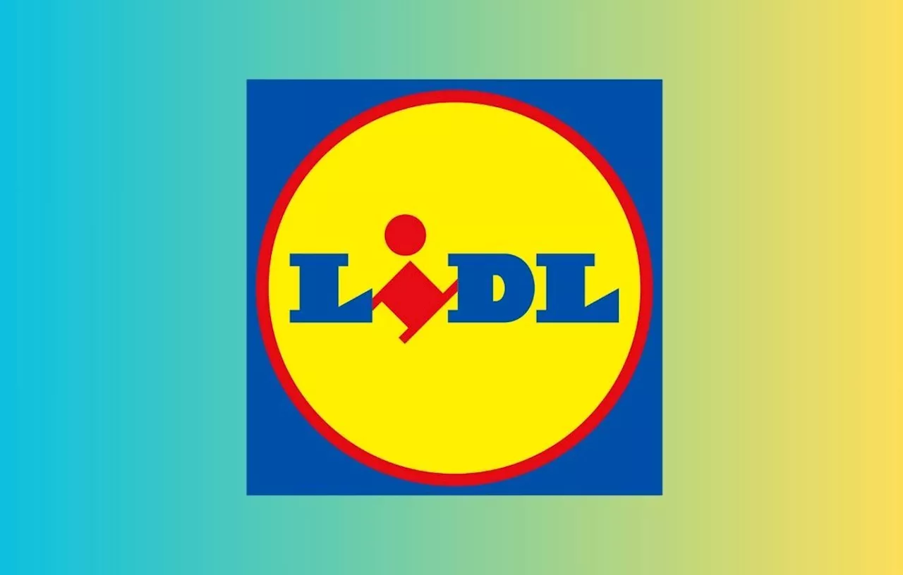 Soldes Lidl : Profitez des nombreuses promotions avant rupture de stock