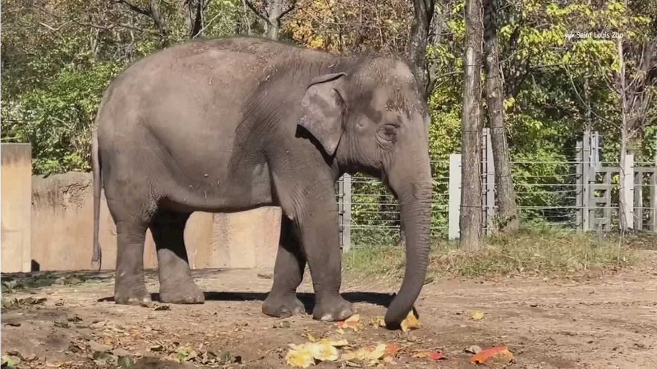 Denver Zoo renamed after 128 years