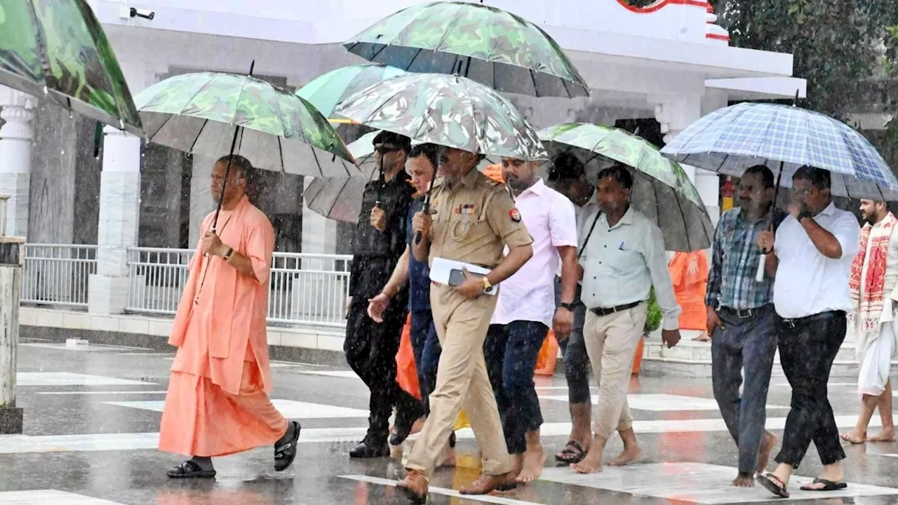 गोरखपुर: बारिश के बीच छाता लेकर निकले CM Yogi, गायों को अपने हाथों से खिलाया गुड़ और चना