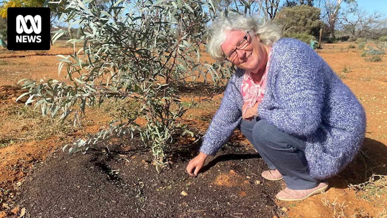 Barmera home owner says transition to native garden benefits wellbeing, environment